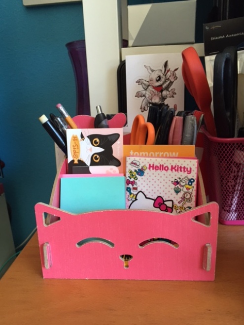 HAPKO (Happy Anime Pink Kitty Organizer) (name courtesy of Alex P)
